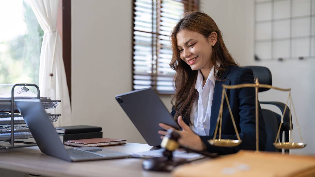 Law firm partners and senior lawyers